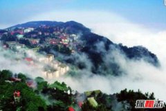 如何除蟑螂，科學(xué)解析廬山無(wú)蟑螂之迷