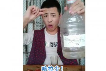 小鳥伏特加雷霆嘎巴是什么梗，小鳥伏特加是什么意思