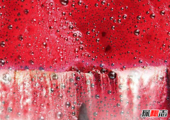 尼加拉大瀑布是哪個國家的,血瀑布在哪個國家