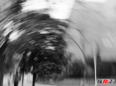 對異性似曾相識的感覺，似曾相識是前世記憶