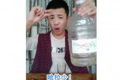 小鳥伏特加雷霆嘎巴是什么梗，小鳥伏特加是什么意思