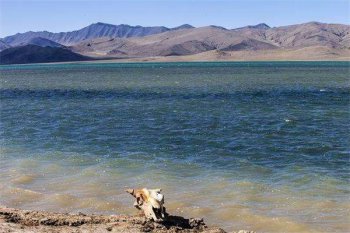 昆侖山為什么有重兵把守,西王母國真的存在嗎