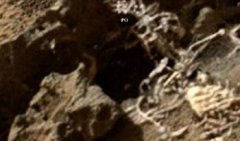 新聞聯(lián)播月球巨型飛船,火星上發(fā)現(xiàn)人類(lèi)殘骸
