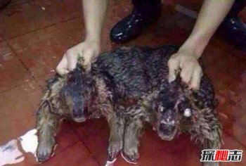 水鬼長什么樣圖片,最真實的水鬼圖片