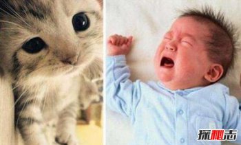 貓叫綜合癥又叫什么,貓叫綜合癥的臨床表現是什么