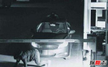 甘肅十大靈異事件，汝南加油站鬧鬼事件