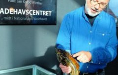 生蠔5斤差不多有幾個，世界上最大的牡蠣