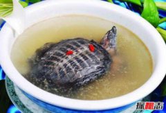 甲魚配什么菜紅燒，中國十大禁菜之鐵板甲魚