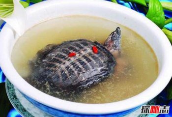 甲魚配什么菜紅燒，中國十大禁菜之鐵板甲魚