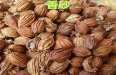 砂仁的禁忌,砂仁和香砂的區別是什么