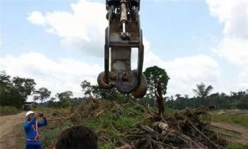 蟒蛇水庫出現,水庫炸出1噸巨蟒是真的嗎