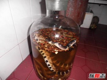 蛇酒泡了10年蛇還活著，蛇泡酒里為啥不腐爛