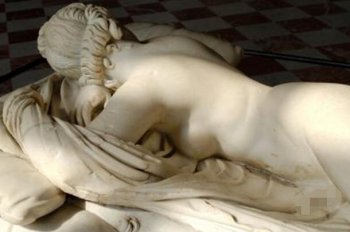 雌雄同體植物有哪些，世界上唯一雌雄同體的18歲少女