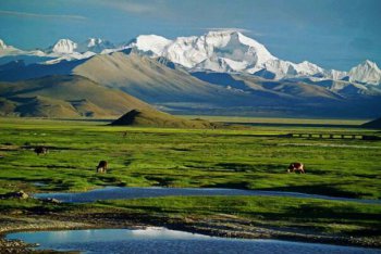 青藏高原是海拔最高的高原嗎，世界上最高的高原：青藏高原，海拔最高5千米，世界屋脊