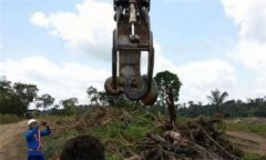 蟒蛇水庫出現，水庫炸出1噸巨蟒是真的嗎