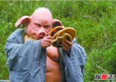 通天大圣的墓，豬八戒墓在哪里