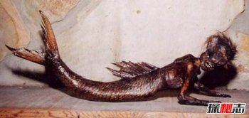 鯤魚的真身圖片太嚇人,美人魚真身嚇人圖片