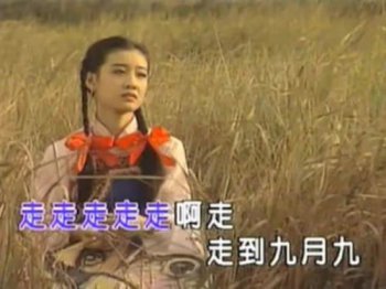 九月九的酒原唱歌詞,又是九月九重陽夜難聚首