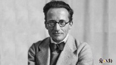 薛定諤的貓比喻什么意思,薛定諤是什么梗