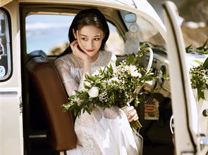 何捷與韓雪之間的關系，沒有什么關系何捷是張馨予的老公