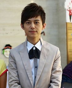 何炅身價多少億,保守估計有5個億以上