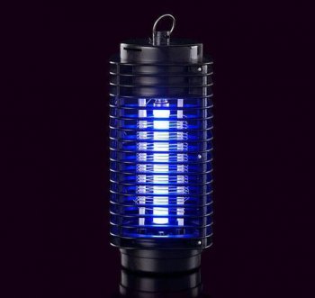 半夜怎么快速抓蚊子，需要打開手電筒用燈源將蚊子吸引