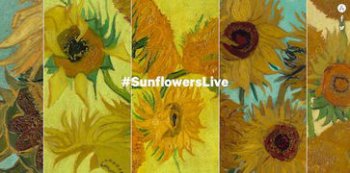 向日葵是誰畫的，《向日葵》是凡·高最有名的作品