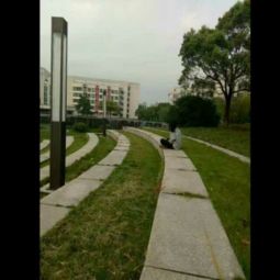 我知道的風俗普通話三分鐘，在眾多節日里我最欣賞端午節