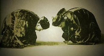 宰相要跪拜親王嗎,不需要跪拜親王