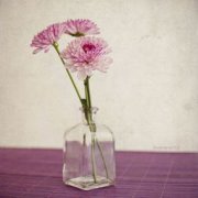 天蝎男最稀罕的星座女,白羊女、摩羯女、雙魚女