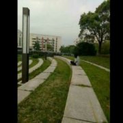 我知道的風(fēng)俗普通話三分鐘，在眾多節(jié)日里我最欣賞端午節(jié)