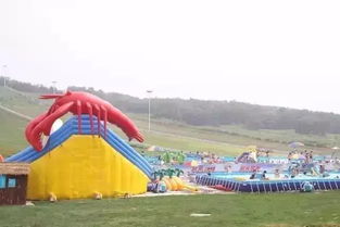 沈陽怪坡在哪里，位于沈陽市沈北新區怪坡風景區