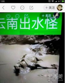 羅平板橋水怪到底是什么,水怪一事還不清楚是真還是假