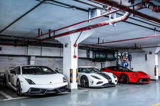 秦奮king爸媽是誰,父親的名字是秦力生母親是誰不清楚