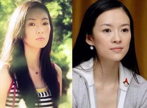 童瑤怎么那么像章子怡，是因為二人本身膚色五官就接近