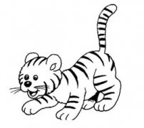 老虎的簡筆畫，畫出臉部輪廓類似一個大肚子水缸的形狀