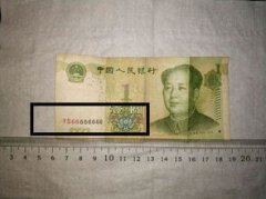 犰狳多少錢一個，價格在10000元以上一只