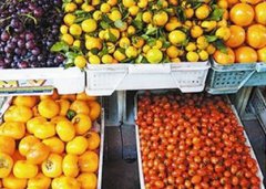 秋天的水果有哪些，梨、山楂、石榴、柿子、柑橘等