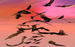 蝙蝠屬于哪類動物，屬于翼手目動物和哺乳動物