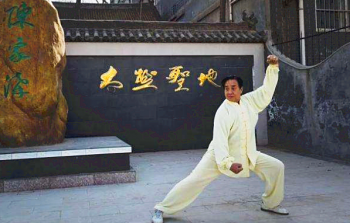 世界七大武術(shù)家，世界武術(shù)排名前十位