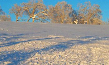 東北三省是哪三省，黑吉遼三省地圖