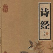 中國(guó)第一部詩(shī)歌總集是什么,中國(guó)第1部文學(xué)詩(shī)歌總集是