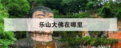 樂山大佛在哪里，樂山大佛有2處不能拍照