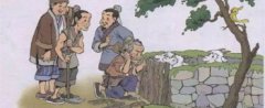 亡羊補(bǔ)牢告訴我們什么道理,亡羊補(bǔ)牢說(shuō)明什么道理二年級(jí)