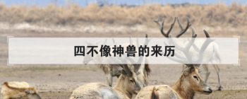 四不像神獸的來歷,姜子牙四不像最后變成什么了