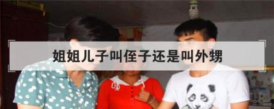 姐姐兒子叫侄子還是叫外甥，姐姐的兒子我稱呼侄子嗎