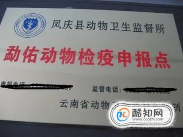 寵物托運如何辦理動物檢疫證明，動物檢疫合格證明收費