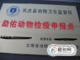 寵物托運(yùn)如何辦理動物檢疫證明,動物檢疫合格證明收費