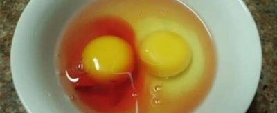 帶血的雞蛋能不能吃,生雞蛋打開有血是啥能吃嗎