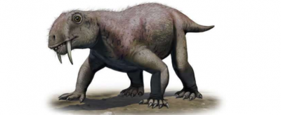 恐龍時(shí)代有哺乳動(dòng)物嗎,恐龍VS哺乳動(dòng)物